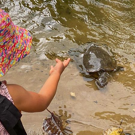 Tasman Holiday Parks - Cairns Cool Waters Exteriér fotografie
