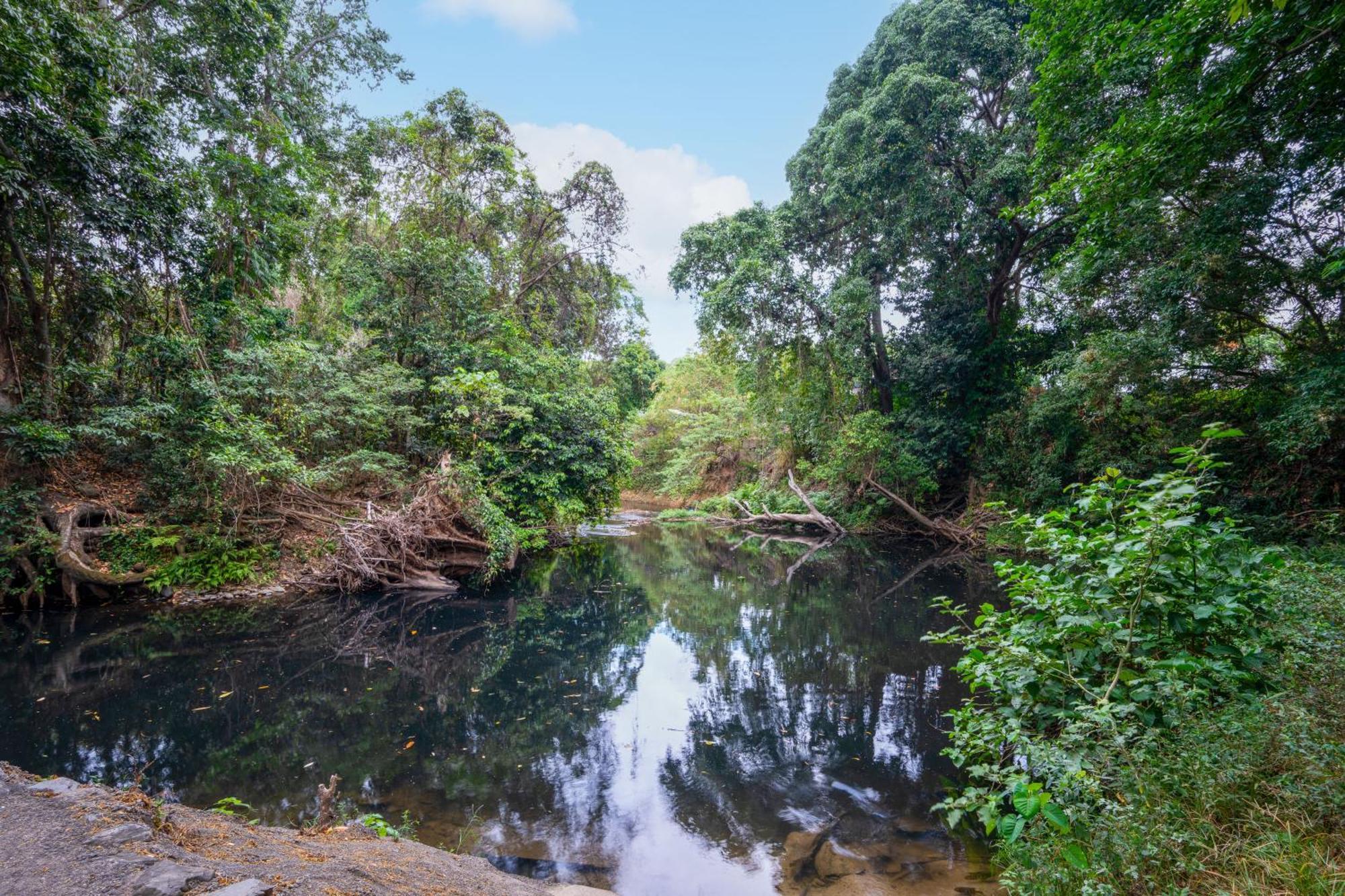 Tasman Holiday Parks - Cairns Cool Waters Exteriér fotografie